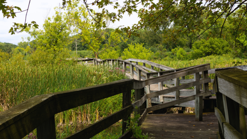 Rock Cut State Park